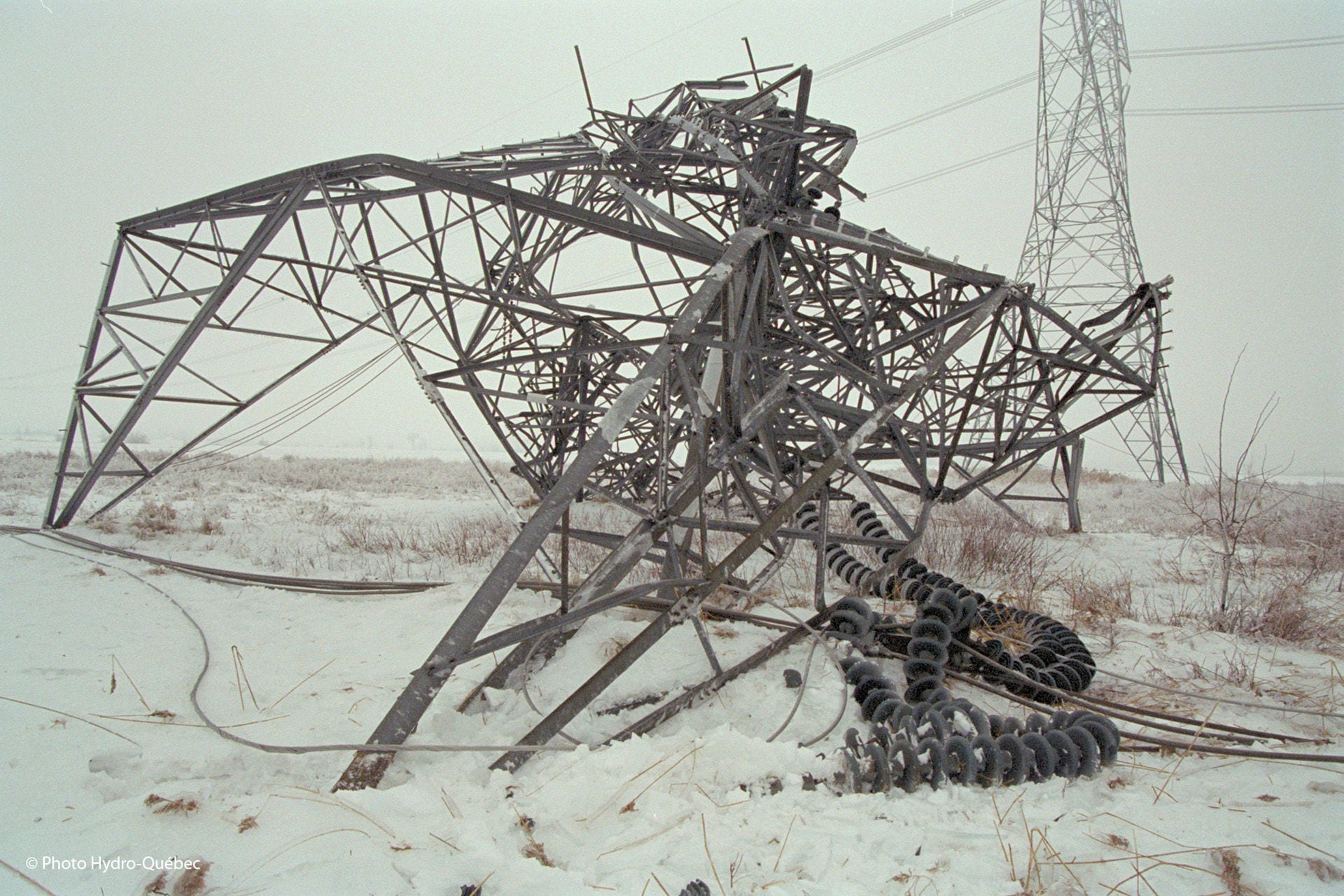 Description of this image is not available