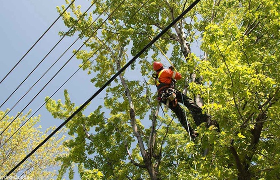 La description de cette image n'est pas disponible