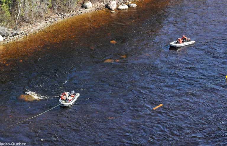 Suivi du déroulement de la fraie des poissons sur la rivière Rupert